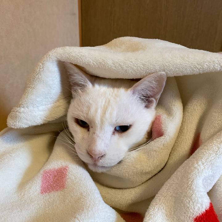 5105f493 adda 4674 bded 8a43c90ab02c 1668904922346