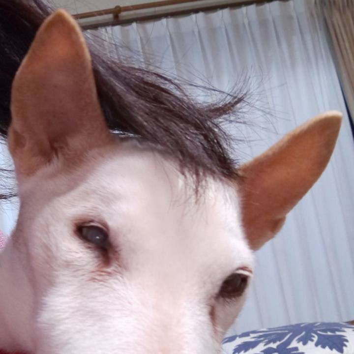 51060c3f e8cd 4578 85b8 c034440e9bcf 1548468009655