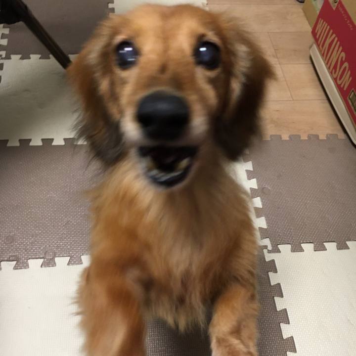 510631b3 fa12 486e bf6b 23fdb5e10012 1591106413225