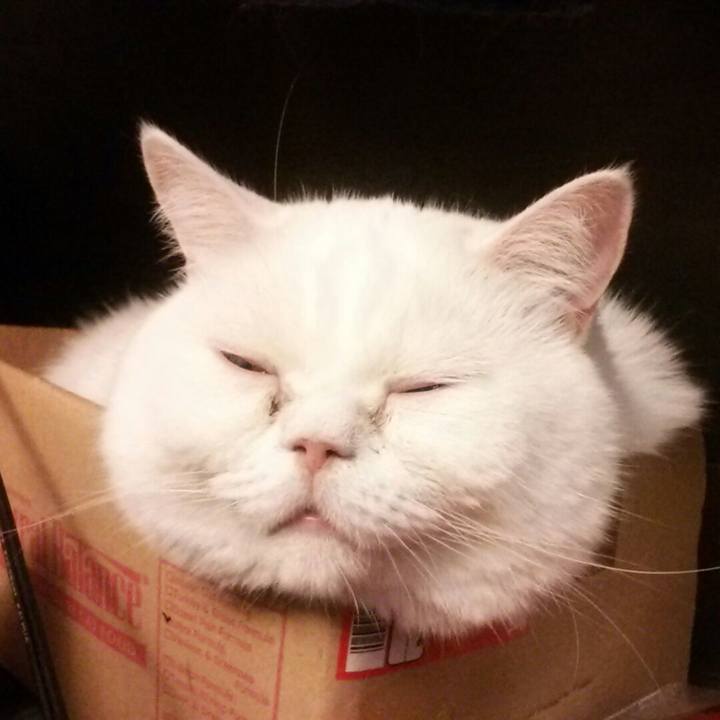 510650b4 0e19 49d5 bb19 438599c7ad23 1598793361543