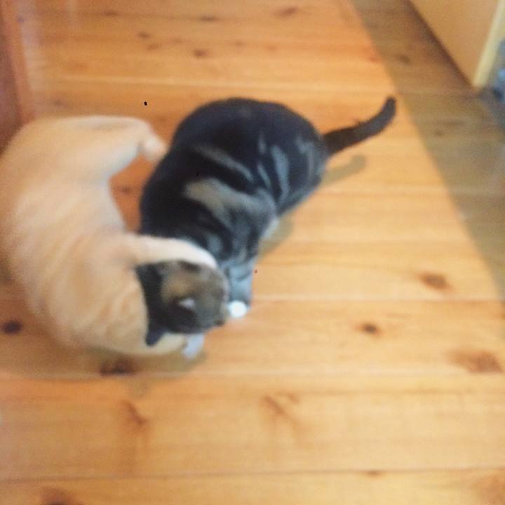 5106783d 63c9 4eab b92d bea83d2d09a9 1508545427357