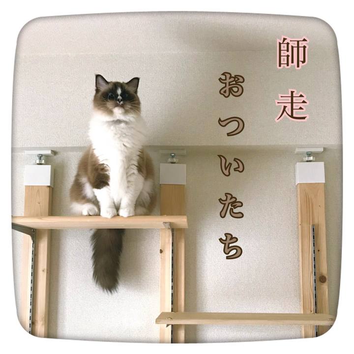 51067eea ca27 4f9e 8662 d072cc0a4daa 1543621096406