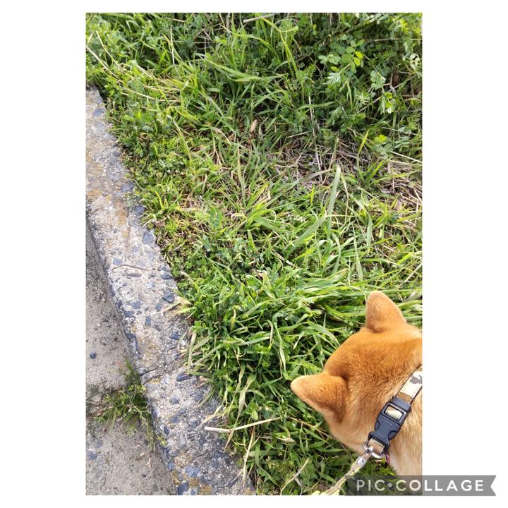 51069032 c127 47b1 b227 b61cbe1595a9 1710808203431