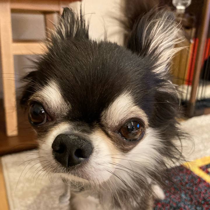 5106a0e3 1ffb 41db aa3a 3cea498879a5 1712400808622