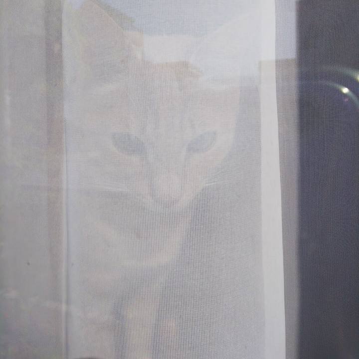 5106d87b 43d4 4728 b2a1 a50f88a66572 1560293821269