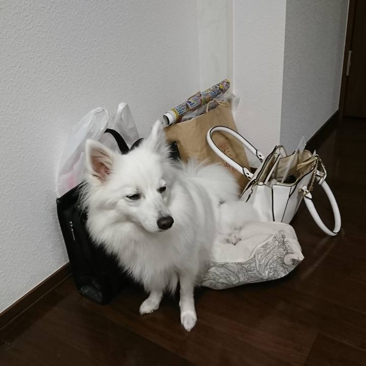 510722ae c3be 44bb 8156 f5a342d39411 1525706061517