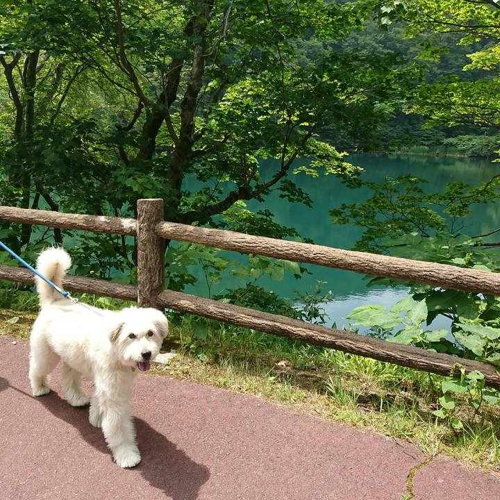 51072d44 7923 47be bac3 14697bfc0c24 1564889935548