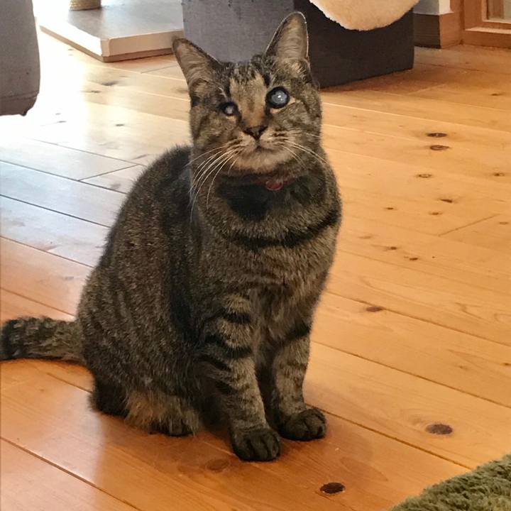 51074f09 1a7e 4166 8125 872c45896729 1586396760421