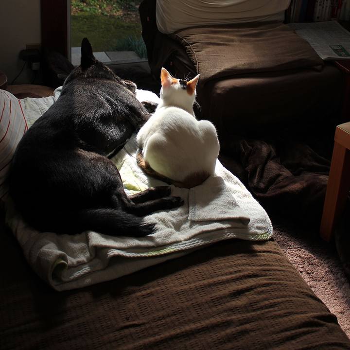 5107549b bc63 4ab5 ac12 6d16166553c3 1584410339684