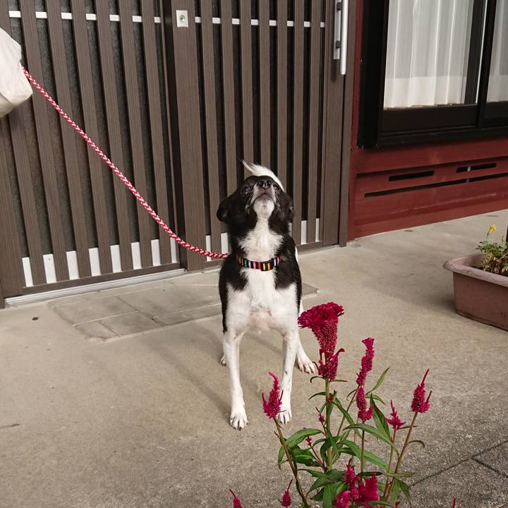 51076eb4 79a8 4ad9 8a9e edda59b7eefa 1569469414156