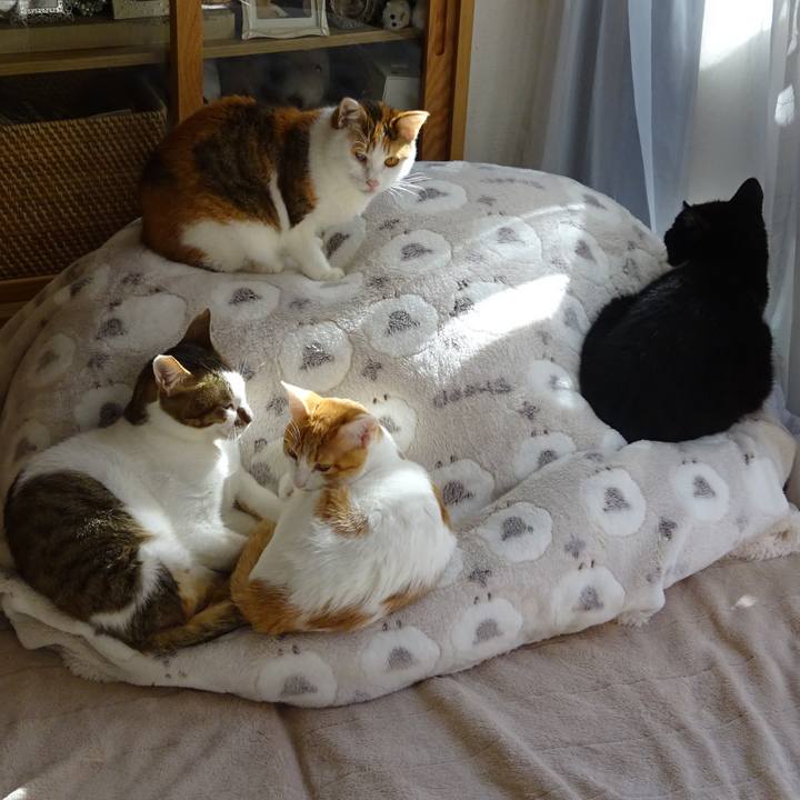 51079b8c 413f 4b79 9979 23a0874c58cc 1703396887815