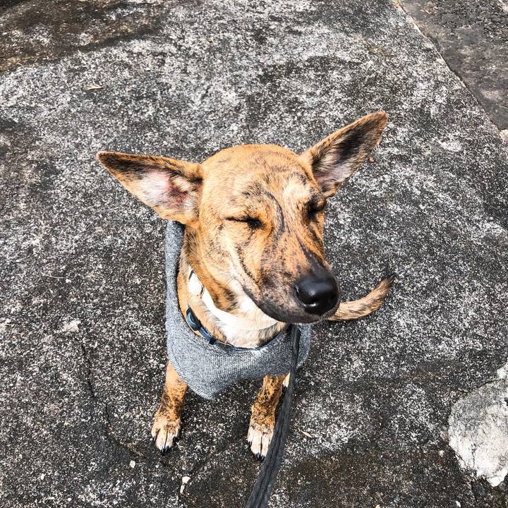 5107a1cb ec65 47a7 b848 55f30d0ffa36 1578144145958