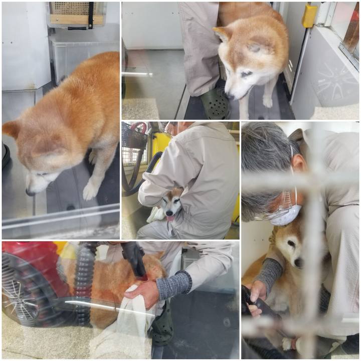 5107a1ec ad3a 4005 aa99 155582d1a9f2 1745459643684