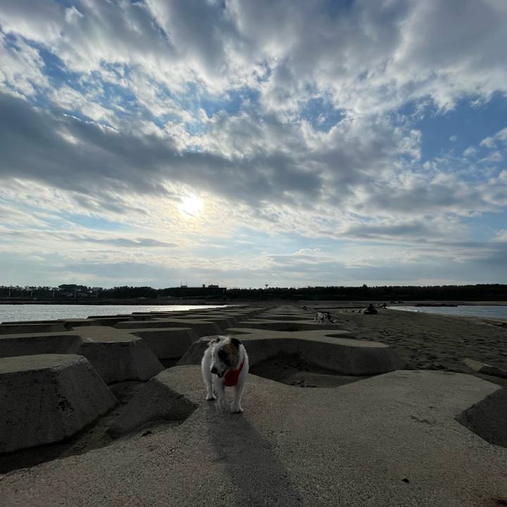 5107ca50 a940 488e 933b f366fc3a69ef 1666482433552