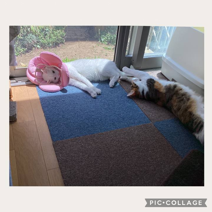 51080284 ef27 4981 b6ba e1a8f09d3655 1683257721218