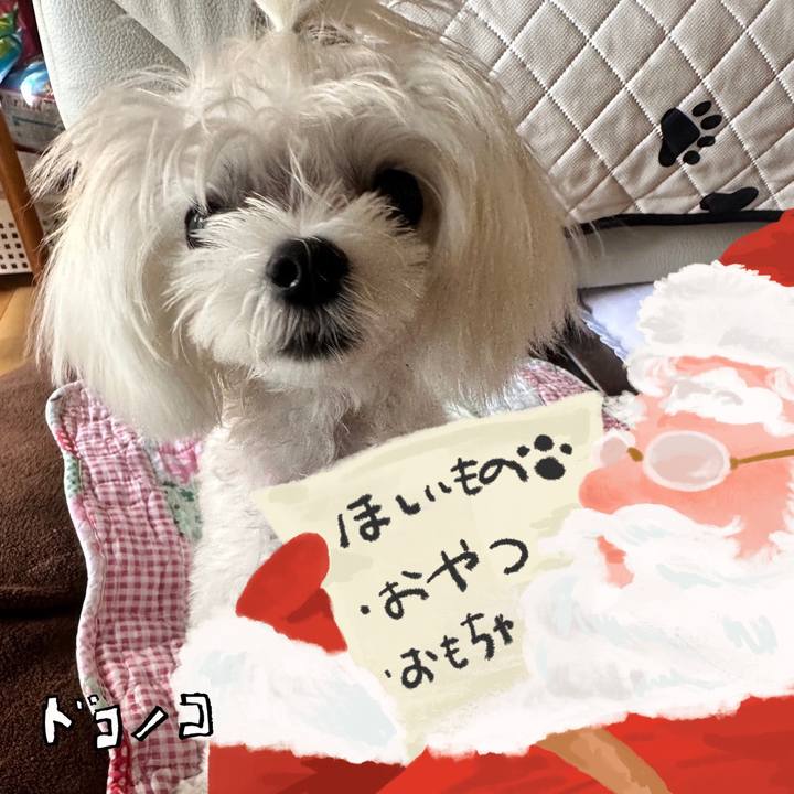 51086d54 9617 4d6c 9042 ef0826f1352a 1729152320806