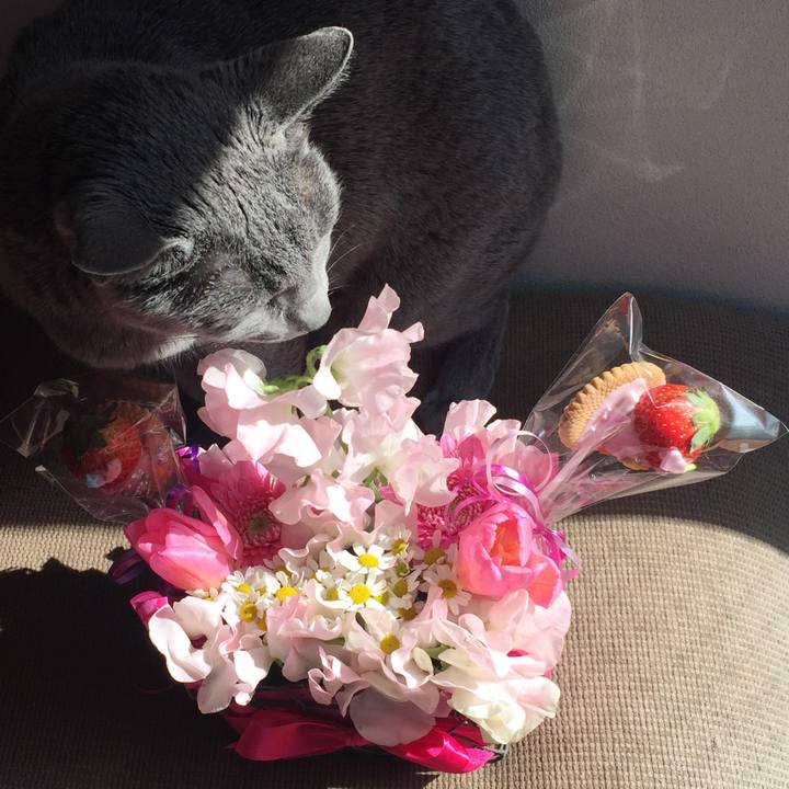 5108927e 90ca 4a78 8f60 b8b0319bec99 1550446113607