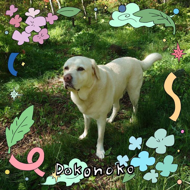 51089317 5cda 4d61 9074 fa7d75c3264a 1717563287402