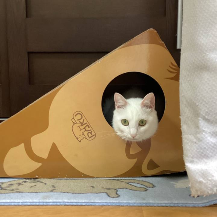 5108a8af 1608 44a0 887c 55bf276f3c4d 1657233297370