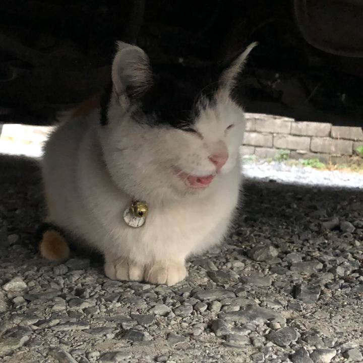 5108abd9 2178 4c08 bae1 67983ad6d7f1 1608675623182