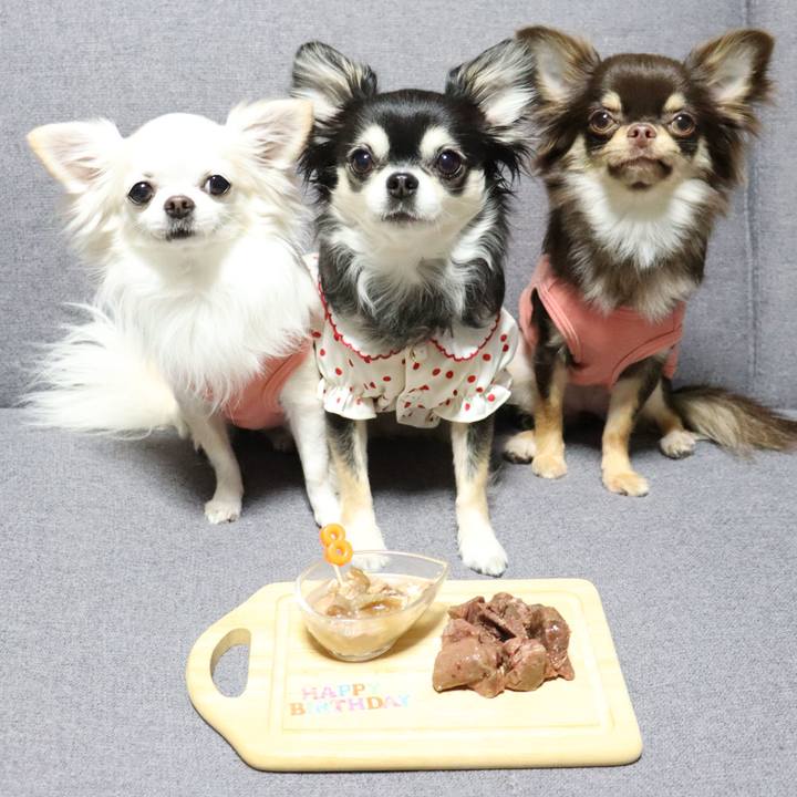 5108c572 71e6 47ac 9733 41abd875823a 1763204995341