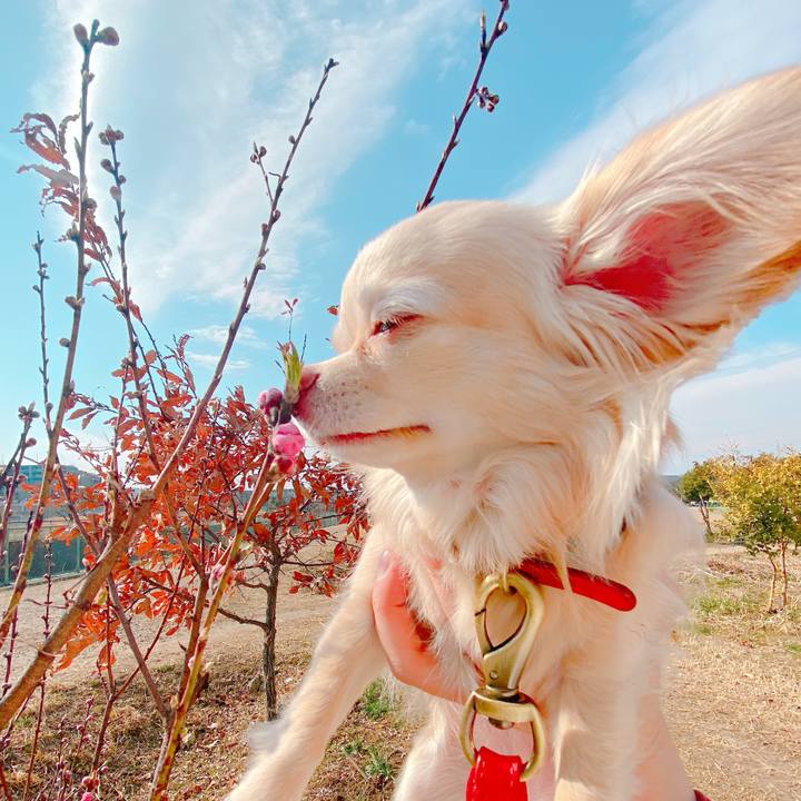 5108fbac ce30 4c44 a30e 245d5593be61 1646122707909