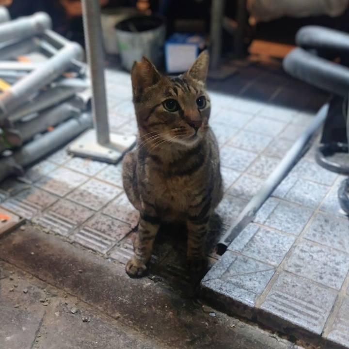 51093c57 893b 4999 bb26 f8226669298b 1765419952026