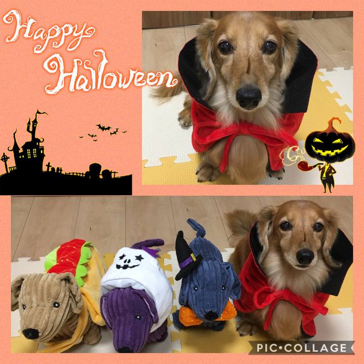 51097bbe 0b72 44af bd76 bab43d056273 1604146915517