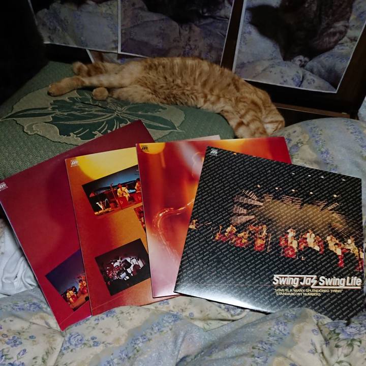 51098a64 b6c8 4708 8cf1 2c0ef5db6633 1657542624106