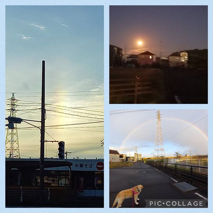 51098bf1 f87c 47ea ab98 3ccacdf55b99 1634815216254