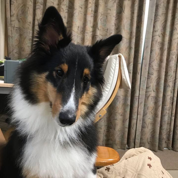 51099365 e071 45ac 96e4 f7594ec0bde2 1541800109030