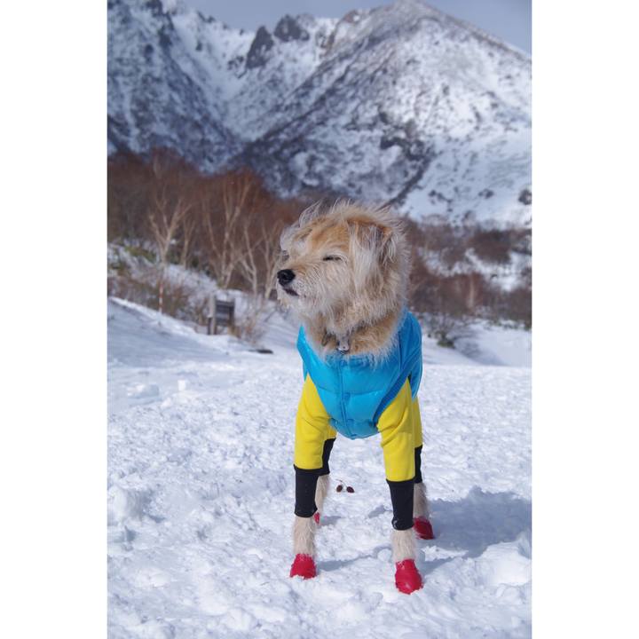 5109cb55 4fc4 4cf8 bb83 154f9359e0d1 1547482802404