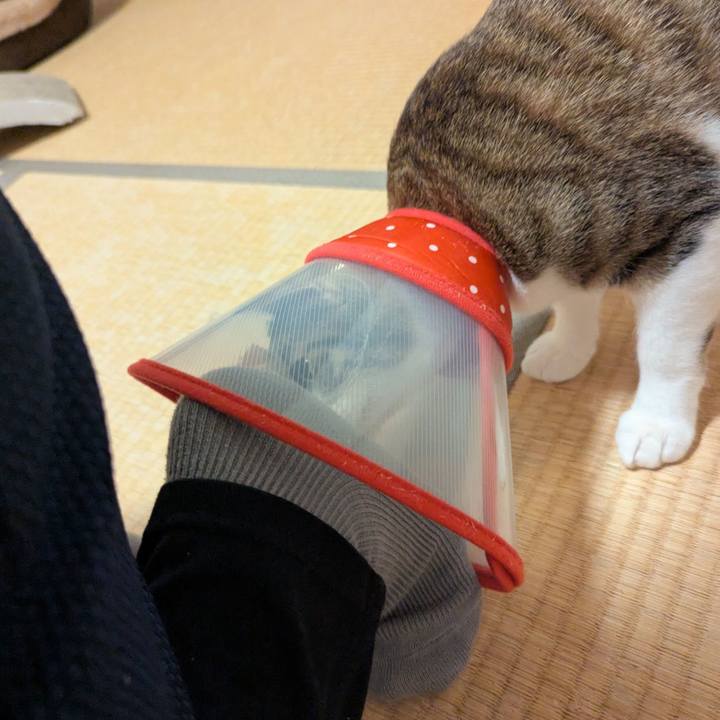 5109eda4 64ef 4eea 84ee 07602128c818 1745218131187