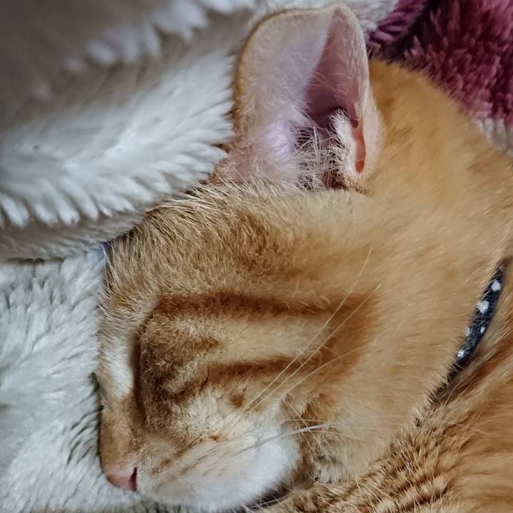 510a0913 e520 4393 8951 786a530fad38 1641906938756