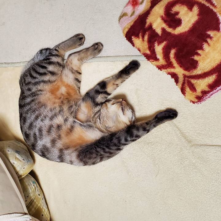 510a0f6b 15b0 433a 95a9 b1186d5be49d 1697126802288