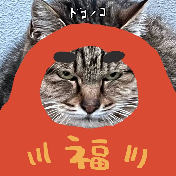 510a1573 32e9 4735 91bf 6ea4daa04b0f 1772446944732