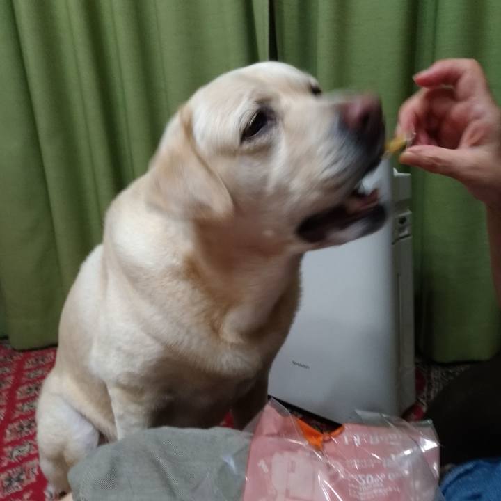 510a279e f8ad 430e 99fb e3930c857cb0 1631616613340