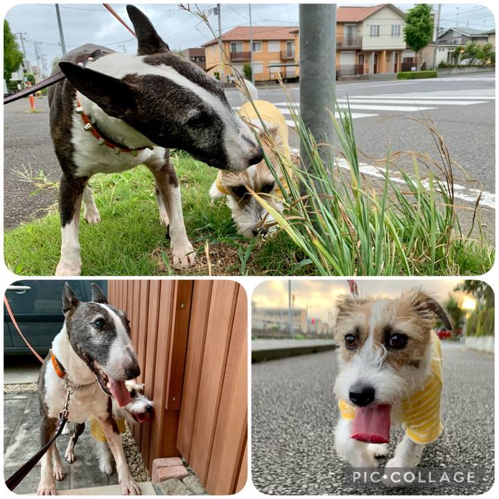 510a35f8 8df7 4f75 9d18 c3fb1ef97518 1628511327632