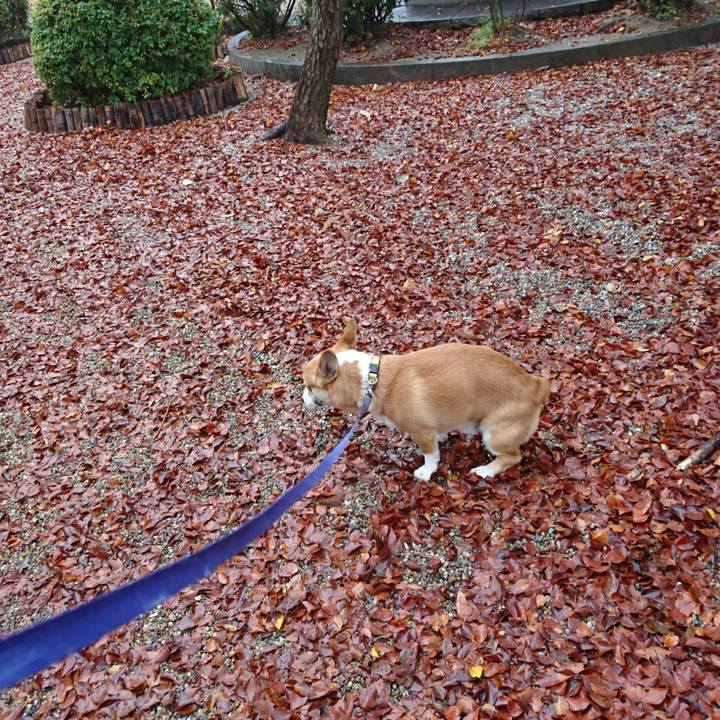 510a4dd4 02e8 4c5d 87dd 222b379619cb 1576829924407