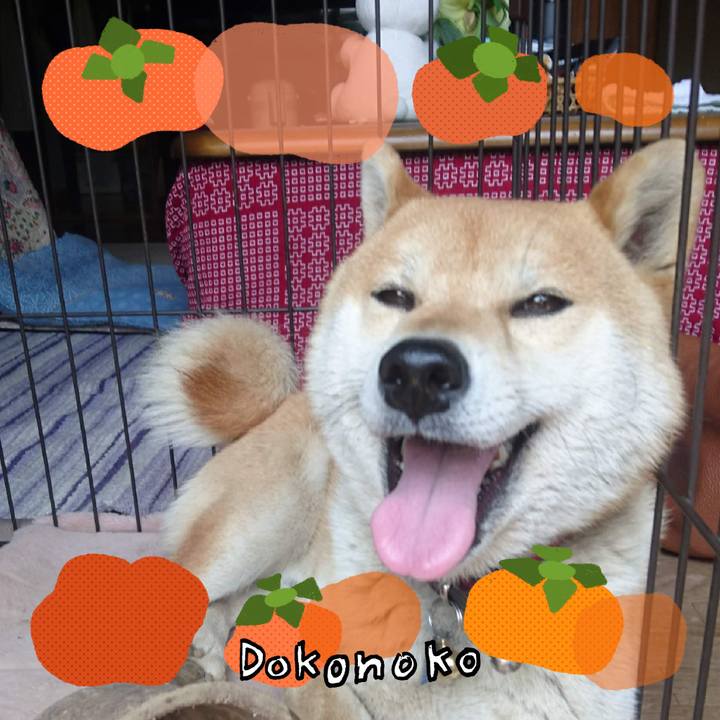 510a6265 2e11 4a32 a400 57dc38c3fc5a 1761981156539