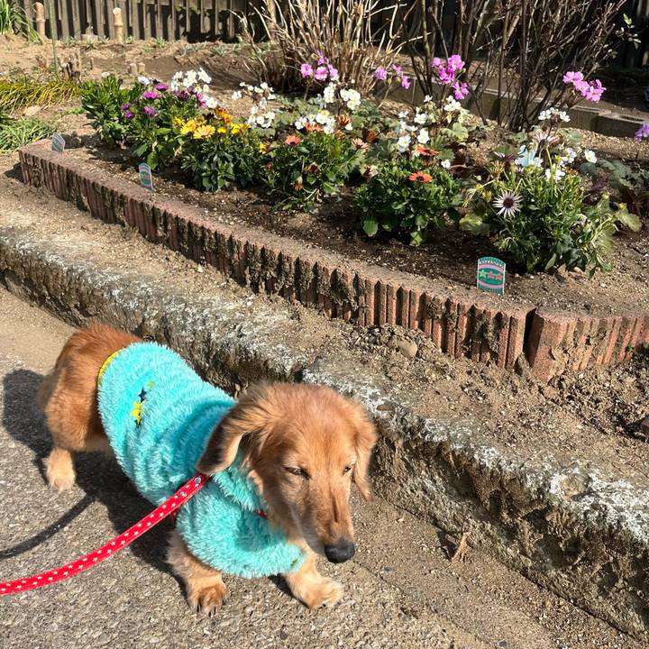 510a779d 2378 47e4 a8ec d1684267799d 1646392948693