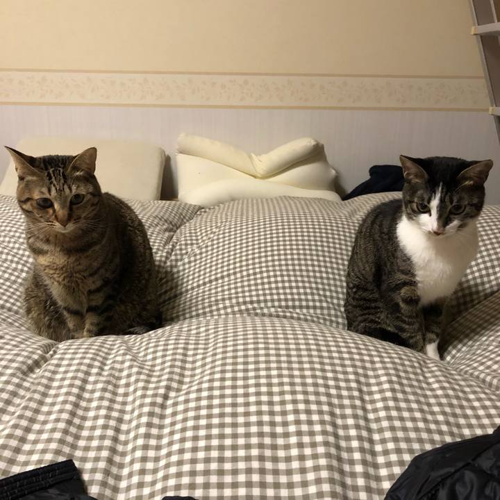 510a7f6e 7e51 4559 a0f5 510e5f91dd59 1518090887234