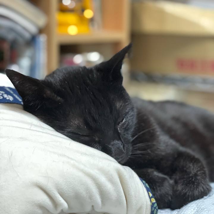 510a80b9 8f24 4d93 992e 95b484c82018 1655947808179