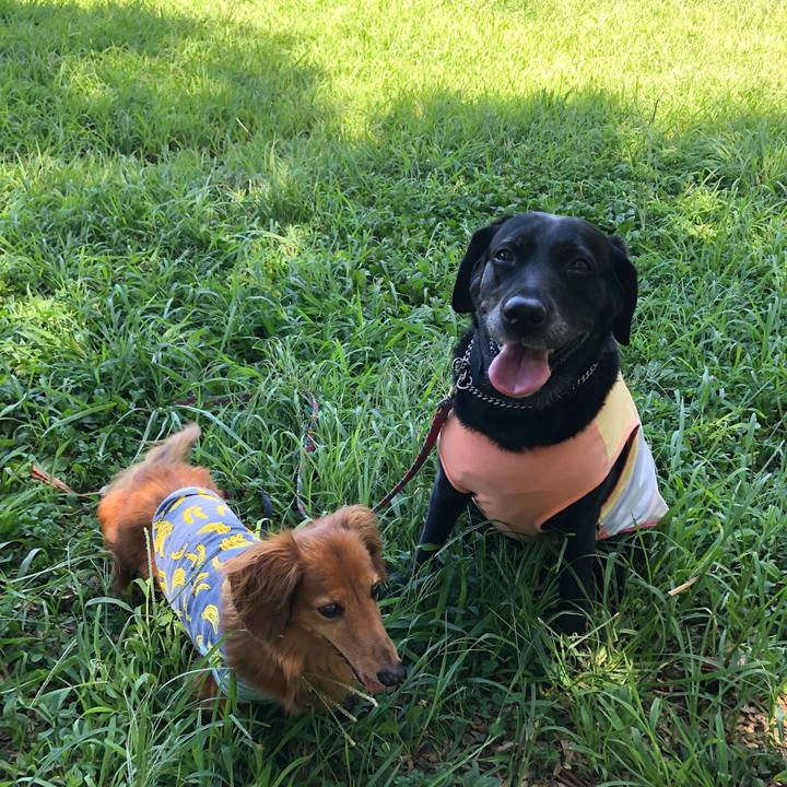 510ab94e a592 4654 9f0b cf1e91689fbd 1534923493828