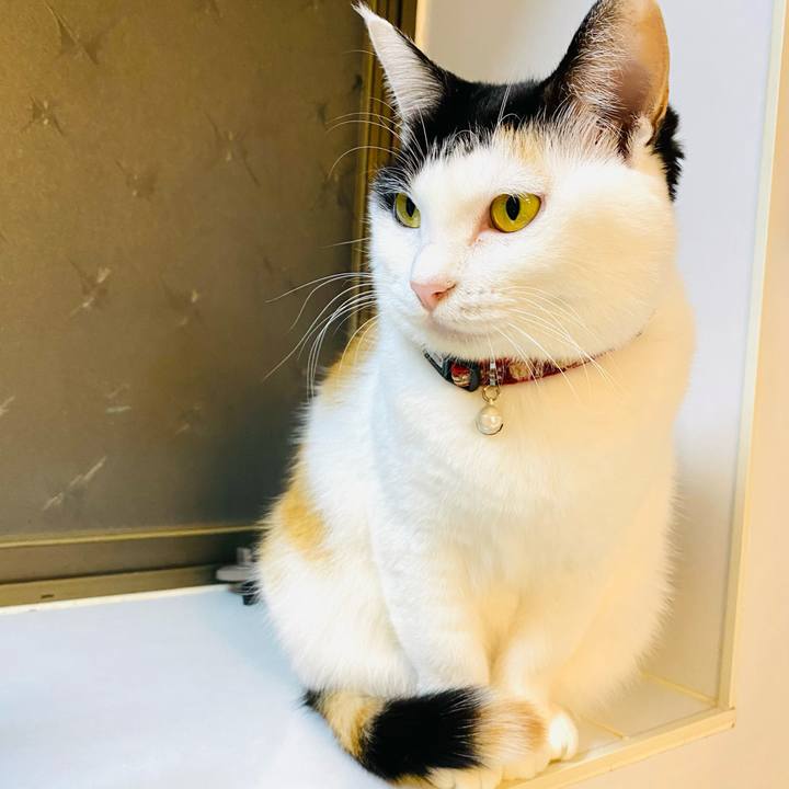 510ae934 5184 4f0e aea5 b6f1dad753d8 1670750977662