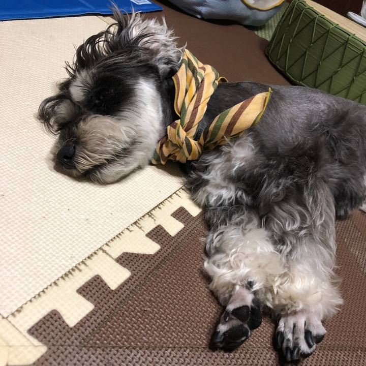 510afa99 70a7 4246 9203 2aa298d4a9d6 1532789892345