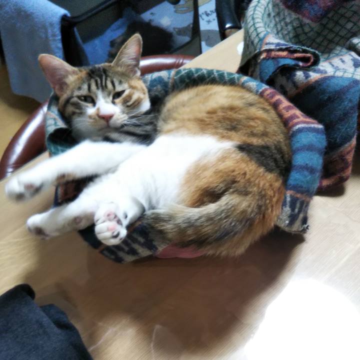 510b0b32 bae8 4649 8d35 7a59248e31ef 1644481868285