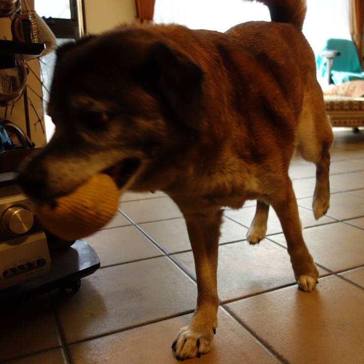 510b2225 eee2 4a6e ac51 4a997ee7e61c 1631144473158