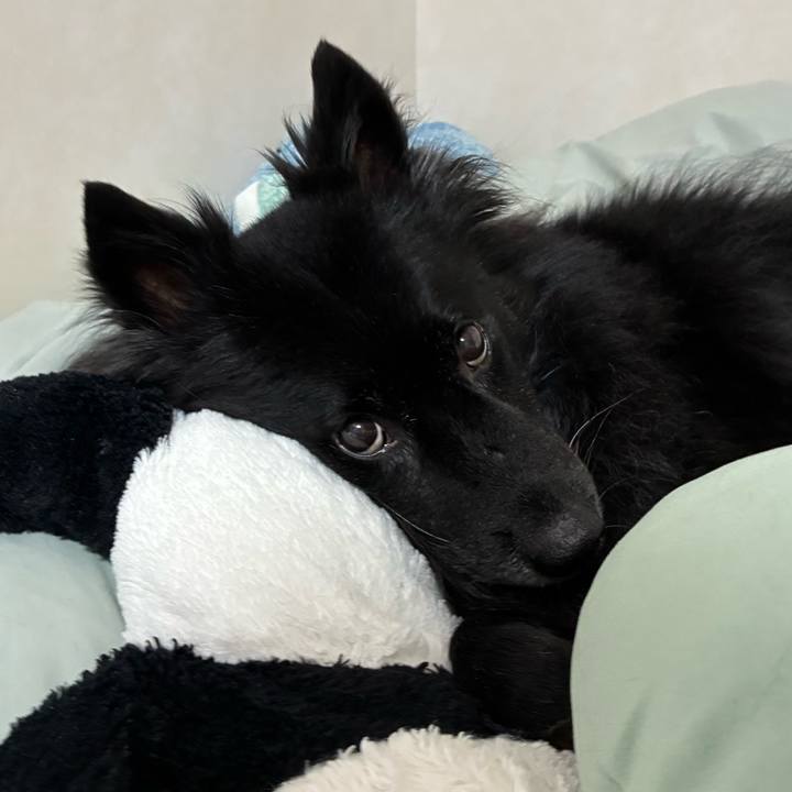 510b29e9 85c2 4c64 b15c cb79f3eae5be 1761264886452