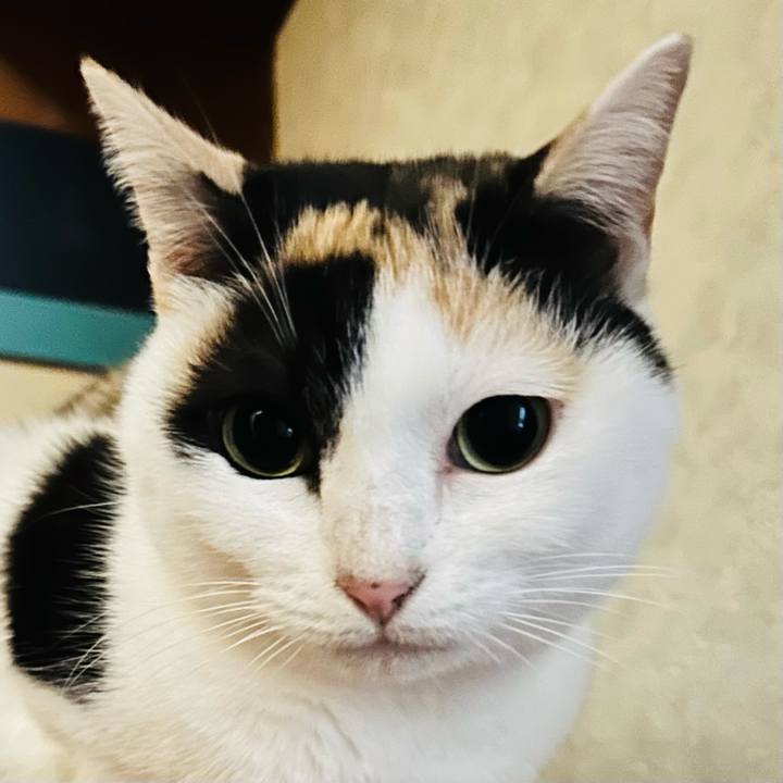 510b830b 37f2 4a3b 874b 68c2b172e6fa 1703548687324